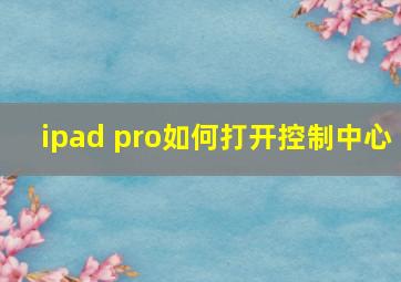 ipad pro如何打开控制中心